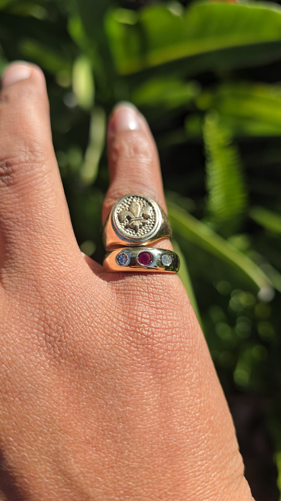 Fluer De Lis Signet Ring in 9k Gold